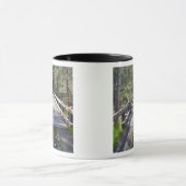 OR, Jackson Landkreis, McKee Covered Bridge Tasse (Zentrum)