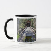 OR, Jackson Landkreis, McKee Covered Bridge Tasse (Links)