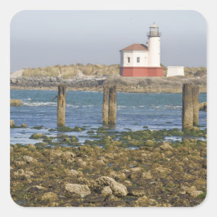 OR, Oregon Coast, Bandon, Coquille River 2 Quadratischer Aufkleber