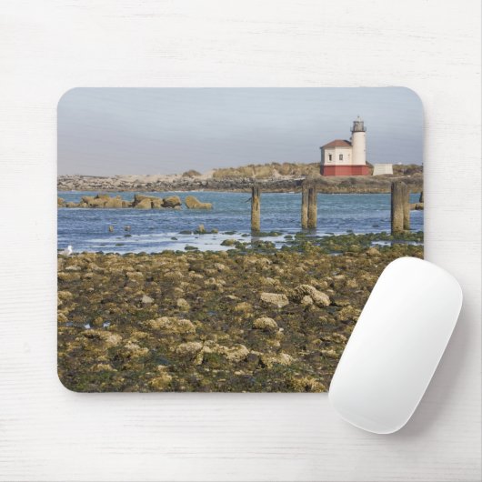 OR, Oregon Coast, Bandon, Coquille River Mousepad (Mit Mouse)