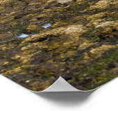 OR, Oregon Coast, Bandon, Coquille River Poster (Ecke)