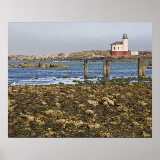 OR, Oregon Coast, Bandon, Coquille River Poster (Vorne)