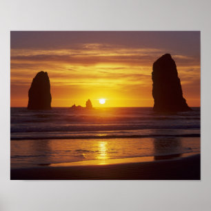 OR, Oregon Coast, Cannon Beach, Meeresfrüchte Poster