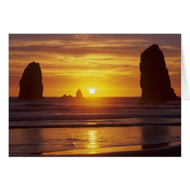 OR, Oregon Coast, Cannon Beach, Seastages bei 2 (Vorderseite (Horizontal))