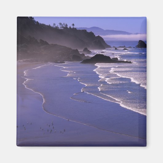 OR, Oregon Coast, Ecola SP, Indian Beach mit Magnet (Vorne)