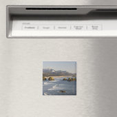 OR, Oregon Coast, Ecola Staat Park, Ansicht 2 Magnet (In Situ (Geschirrspüler))