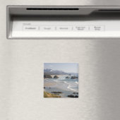 OR, Oregon Coast, Ecola Staat Park, Crescent Magnet (In Situ (Geschirrspüler))