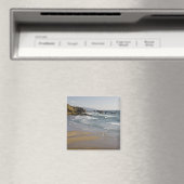 OR, Oregon Coast, Ecola Staat Park, Indian Magnet (In Situ (Geschirrspüler))