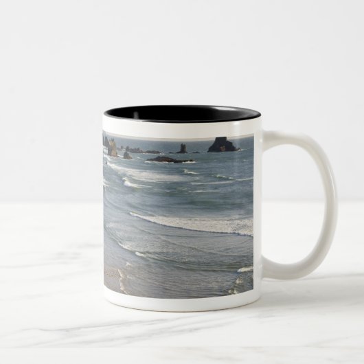 OR, Oregon Coast, Ecola Staat Park, Indian Zweifarbige Tasse (Rechts)