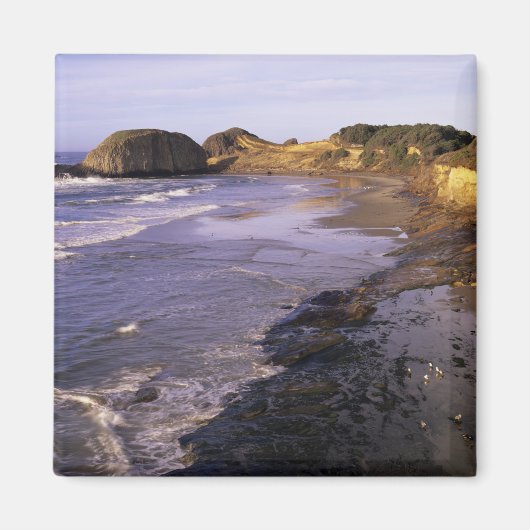 OR, Oregon Coast, Newport, Küstenlinie am Siegel Magnet (Vorne)