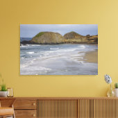 OR, Oregon Coast, Siegel Rock Staat Park, Leinwanddruck (Insitu (Wohnzimmer))