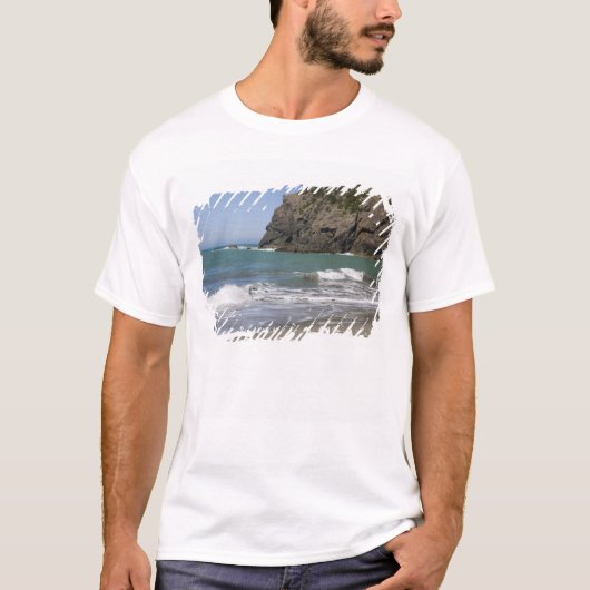 OR, Oregon Coast, Whaleshead Beach, South T-Shirt (Vorderseite)