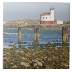 OR, Oregon-Küste, Bandon, Coquille River 2 Fliese