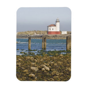 OR, Oregon-Küste, Bandon, Coquille River 2 Magnet