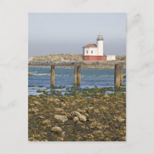 OR, Oregon-Küste, Bandon, Coquille River 2 Postkarte