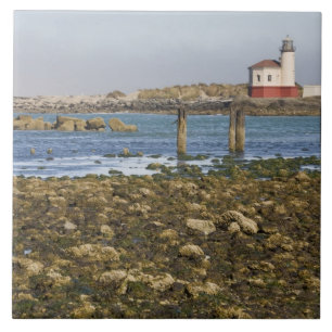 OR, Oregon-Küste, Bandon, Coquille River Fliese