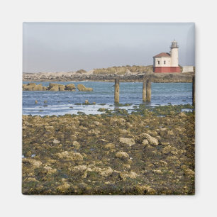 OR, Oregon-Küste, Bandon, Coquille River Magnet