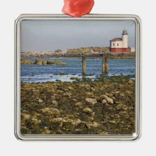 OR, Oregon-Küste, Bandon, Coquille River Silbernes Ornament