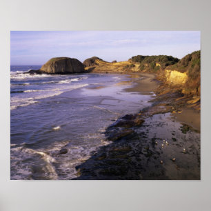 OR, Oregon-Küste, Newport, Küstenlinie bei Seal Poster