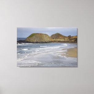 OR, Oregon-Küste, Seal Rock State Park, Leinwanddruck