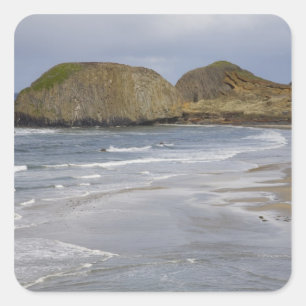 OR, Oregon-Küste, Seal Rock State Park, Quadratischer Aufkleber