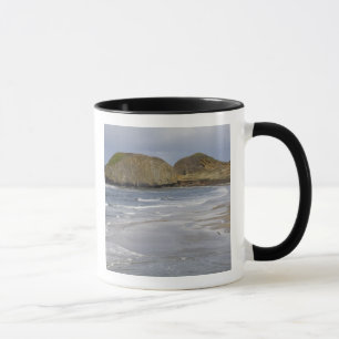 OR, Oregon-Küste, Seal Rock State Park, Tasse