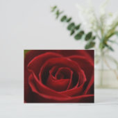 Oral rote Postkarte (Stehend Vorderseite)