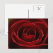 Oral rote Postkarte (Vorne/Hinten)