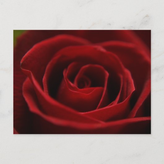 Oral rote Postkarte (Vorderseite)