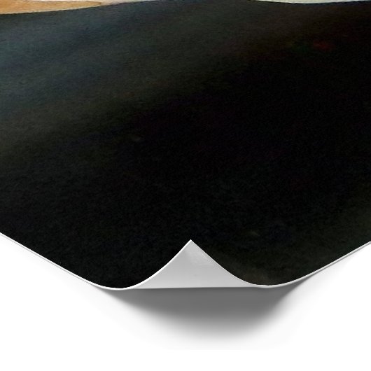 Oranda Goldfisch-Foto Poster (Ecke)