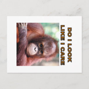 Orang-Atang Postkarte