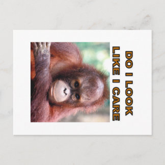 Orang-Atang Postkarte