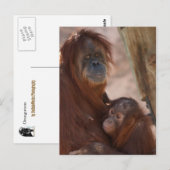 Orang Mama und Kind Postkarte (Vorne/Hinten)