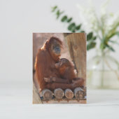 Orang Mother & Child 7312 Postkarte (Stehend Vorderseite)