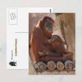 Orang Mother & Child 7312 Postkarte (Vorne/Hinten)