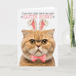 Orang Scottish Fold Niedlicher Ostern Bunny Kitty  Feiertagskarte