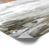 Orang Utan 001 Poster (Ecke)