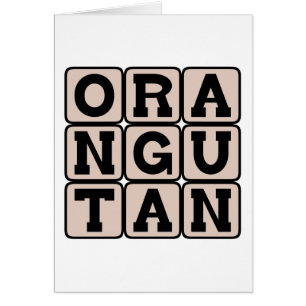 Orang-Utan, Asiatischer Menschenaffe