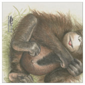 Orang-Utan Baby mit Blätter Stoff (Nahaufnahme)