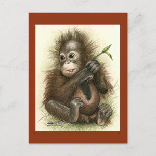 Orang-Utan-Baby mit Blättern Postkarte