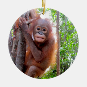 Orang-Utan Baby Uttuh Keramik Ornament