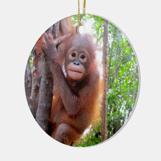 Orang-Utan Baby Uttuh Keramik Ornament (Links)