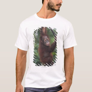 Orang-Utan Babykletternder Liana T-Shirt