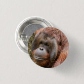 Orang-Utan Button (Vorne & Hinten)