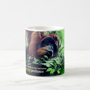 Orang-Utan entspannt sich im Baum Kaffeetasse