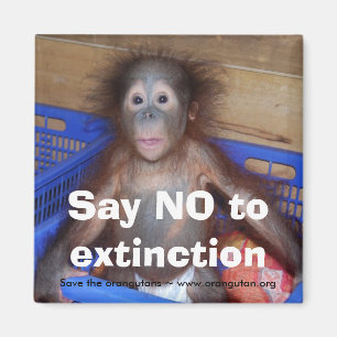 Orang-Utan Erhaltung Magnet