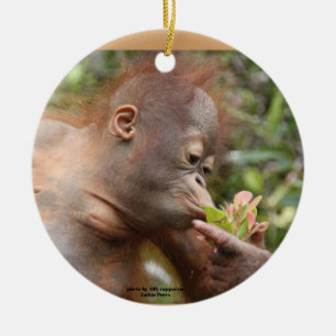 Orang-Utan Feiertags-Leckereien Keramikornament