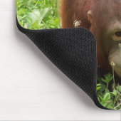 Orang-Utan Fell u. Suchvorgang Mousepad (Ecke)