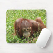 Orang-Utan Fell u. Suchvorgang Mousepad (Mit Mouse)