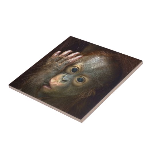 Orang-Utan Fliese (Seite)